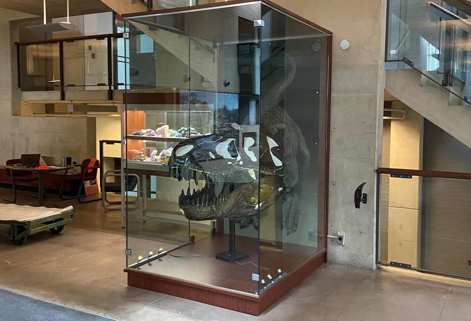 University of Waterloo - EIT Museum T-Rex Display