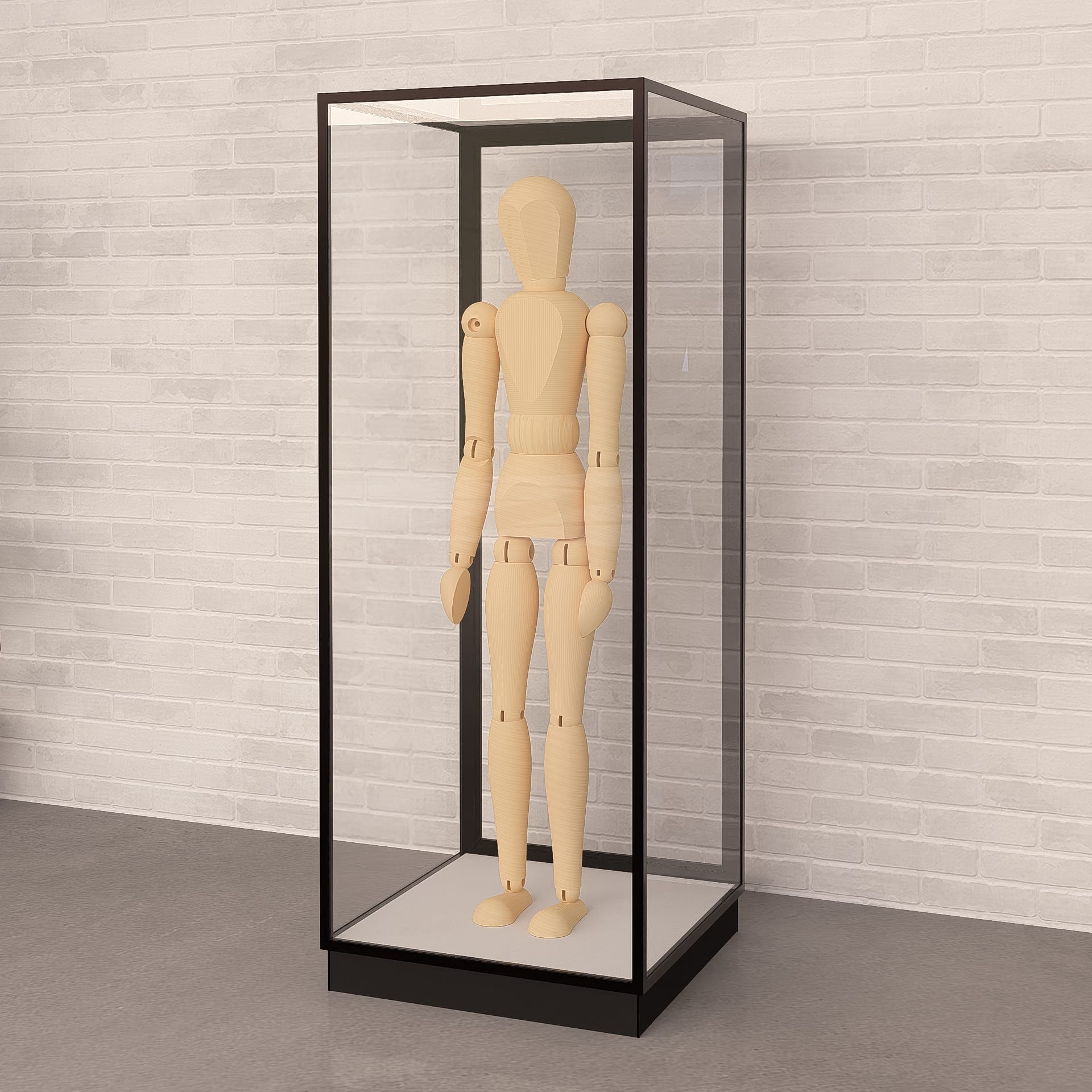 Mannequin Display Case