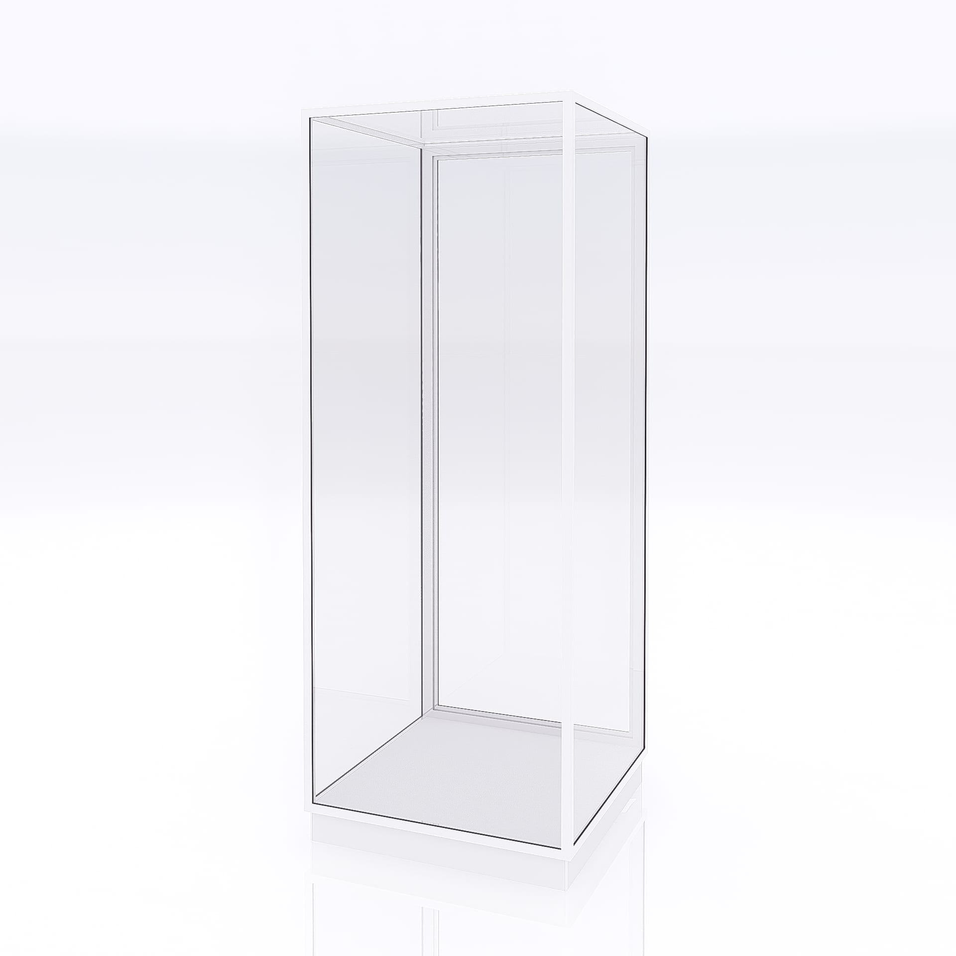 Mannequin Display Case - Image 9