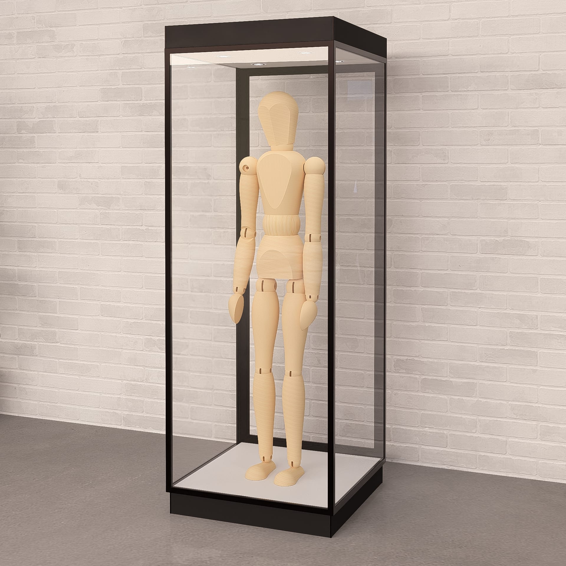 Mannequin Display Case - Image 2