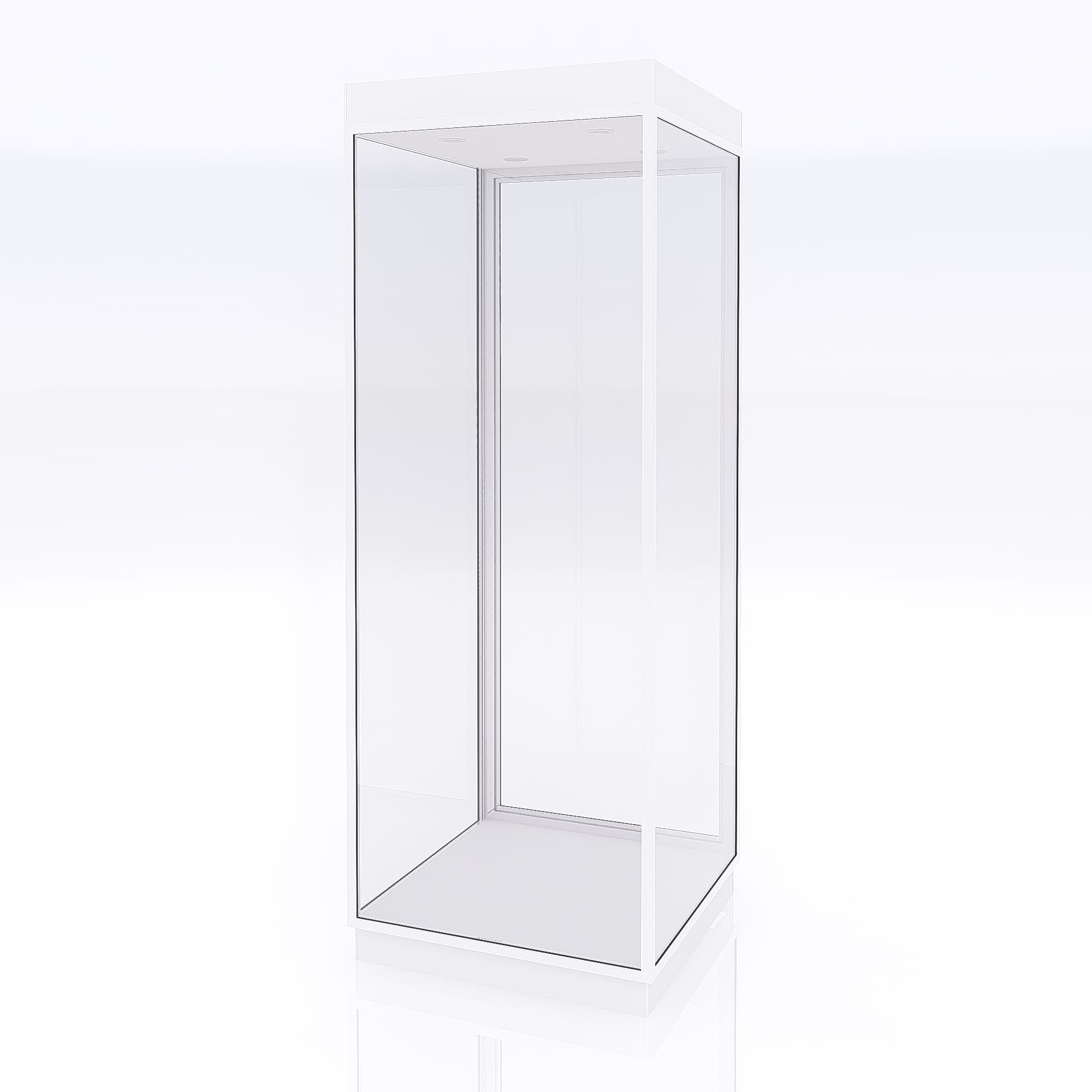 Mannequin Display Case - Image 15